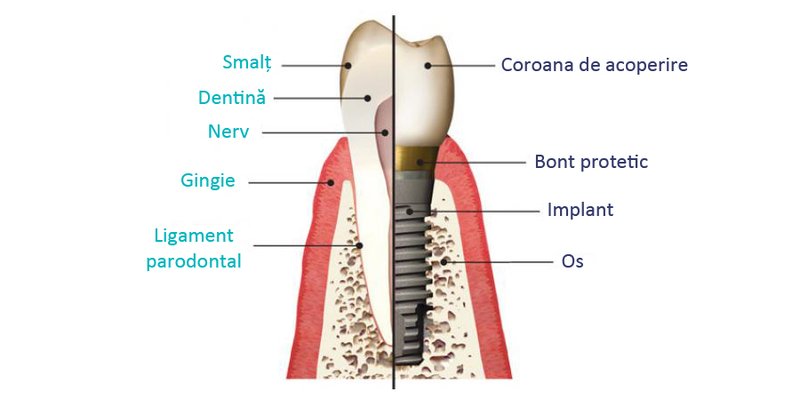 New Dent - cabinet stomatologic